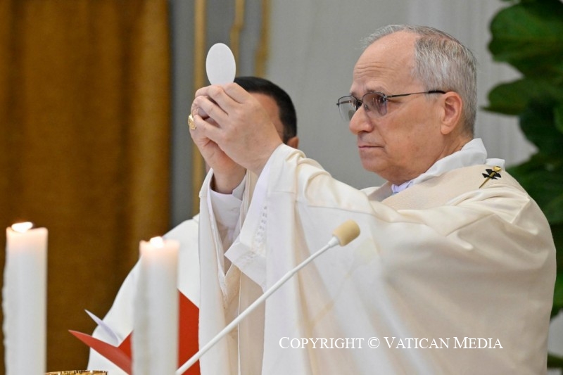 At Castel Gandolfo, Pope Leo XIV presided over the Holy Mass for the Solemnity of the Assumption of the Blessed Virgin Mary